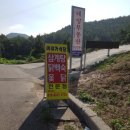 아미가식당 네이버블로그