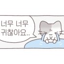 골드캐슬치과의원 이미지