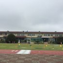 대흘초등학교 병설유치원 이미지
