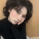 배이 카카오 검색결과