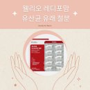 레디포맘