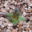 미실농장 이미지