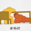 라씨에트 이미지