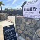 하도로와 | 하도로와 족욕카페 내돈내산 방문후기 제주구좌읍