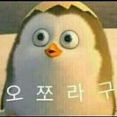 화