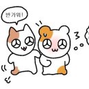 조은생각 - 장성군 삼동로 741 | 조은생각