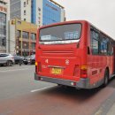 세운버스 이미지