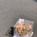 유주팔레트 이미지
