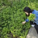 고인돌마을 이미지