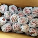 청송외갓집 이미지