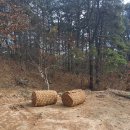 유영농장 이미지