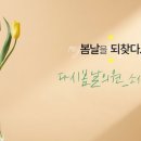소사벌다시봄날의원