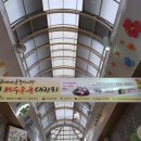 숙이포목 이미지