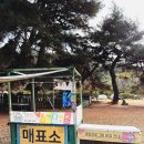 [창원 마법의 정원] - 아이랑 11월 주말 캠프닉 후기❤️