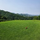 삼흥로 | '안성베네스트GC' / 근처 식당 추천, 잔디 정보 솔직후기
