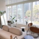 강남숲정신건강의학과의원 이미지