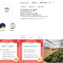 신상농장 2 이미지