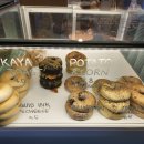 필프리(FEEL FREE) 이미지