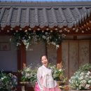 전통美와 감성 가득한 웨딩촬영 한복, 금사한복 예은파파 이천한복대여 후기 – 전국 택배대여 OK!