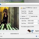 동영상 파일 자르기 - Boilsoft Video Splitter v6.01 이미지