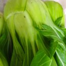 도반농장 이미지