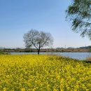 나주종합스포츠파크 건너편 이미지