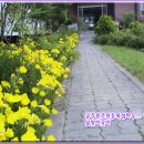 꽃밭에서 이미지