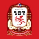 정관장동부