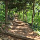 도덕산공원 | 도덕산 출렁다리 인공폭포 철산 배수지공원 방향에서 가기