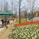 서울식물원 이미지