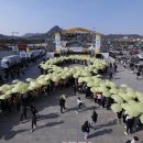 리본 메디칼 이미지