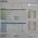 다이어트 체지방분해 음료~ 한국 야쿠르트 룩 LOOK !