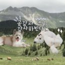 뽀까부엌 이미지