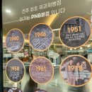 전주 명물 "PNB 풍년제과" 요즘 핫한 초코소라빵