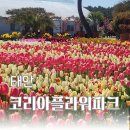 코리아파크 | 태안봄여행 코리아 플라워 파크 튤립축제 후기