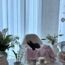 정윤소재 | 정윤백일상 심플J03 (심플 J 03)｜셀프백일상 대여 추천 (+5,000원 할인 꿀팁)