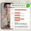 인터샵 | 창원 인터내셔녈웨딩 연계 드레스샵 프리마베라에서 드레스 피팅한 후기