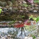 아라메길(2-1) 이미지