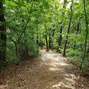 오산생태하천길(삼남길) 이미지