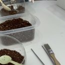 (원데이) 나만의 작은 숲, 테라리움 이미지