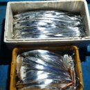 월항민박 이미지