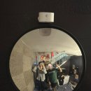 두두 플레이방 | [방탈출] #1.토끼굴 - 두두헌집