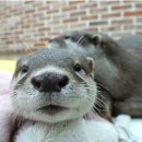 봉희농장 이미지