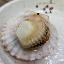 [여수맛집]싱싱한 해물과 해산물이 푸짐해서 놀라버린 늘푸른섬바다 해물탕