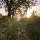 초등 창의수학지도자 이미지