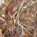 도마1리 이미지