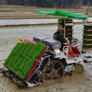 주생면 낙동마을 이미지