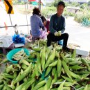 단구1리 이미지