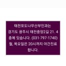 태전포도나무