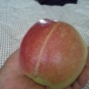 대정농장 이미지